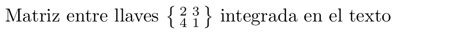 Matriz entre llaves integrada en el texto